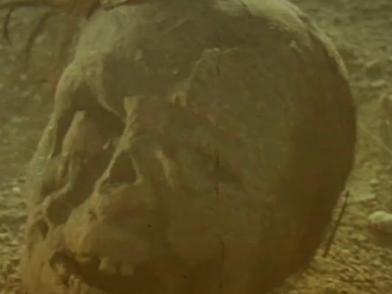 Death Rides a&nbsp;Horse